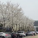 선일정육점