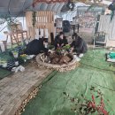 다들바위 치유농장 | 화성시 헬로우팜🚜 농장에서 원예치유 프로그램 강의를 했어요!