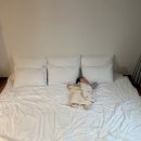 듀크펜션 이미지