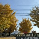 신산리-1 이미지