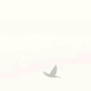 한국이발관 - 신안군 | 한국이발관