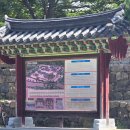 불갑사 산림박물관 | 한국 불교의 시작을 알리는 상징적 장소는 어디일까요?