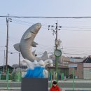 해남터미널 이미지