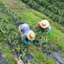 잘커농장 이미지