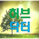 마리아의종어린이집 | 알로에효능 15가지, 효능과 먹는방법 5가지 요약!