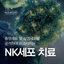 종양세포 및 감염세포를 공격하여 파괴시키는 NK세포 치료란?, 줄기세포동물병원 애니컴메디컬센터