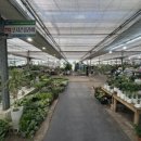 감전농약종묘사 이미지