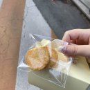멜트그라운드 이미지