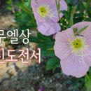 24. 8. 31(토) 사무엘상 24장, 고린도전서 5장 이미지