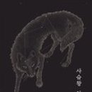 선스시