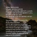 우주씨