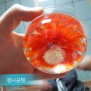 깜시공방