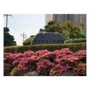 광주교육청 2026년 1월 1일자 일반직공무원 494명 인사 발표[미래교육신문] 이미지