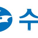 강구수협 이미지