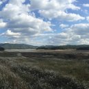 대청호오백리길 호반낭만길 이미지