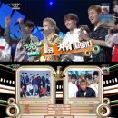워너투어닷컴주 스포츠조선