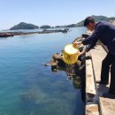 경상남도수산자원연구소 이미지