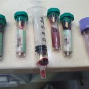 도청동물병원 이미지