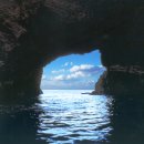 독도마차 이미지