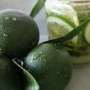 제일농장1 이미지