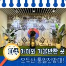 통일전망대 | 33개월 아이와 파주 오두산 통일전망대 다녀온 후기 🇰🇷