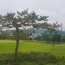 파스크린골프연습장 이미지