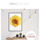 패.완.요 이미지