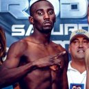 빅매치복싱 이미지