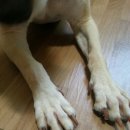 서경석동물병원 이미지