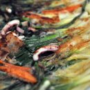 양동식당