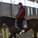 궁평목장 이미지