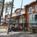 바다와소나무 펜션 이미지