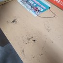 진복권방 네이버블로그
