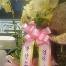그램그램·큰맘할매순대국성서 | [성서계대] 방탄소년단 슈가 부모님 가게 오픈! #큰맘할매순대국