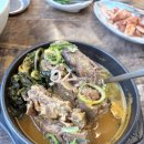 본리어린이공원 소 | 태경청진동해장국 본리점 감자탕 후기