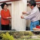 올봄 부모님 가슴에 신록을 가득 담아 드리세요 이미지