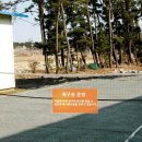 나리와꽃창포 이미지