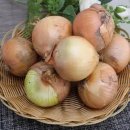 자연대로 이미지