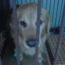 방꼬지길 이미지