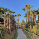 윤스테이한옥펜션 이미지