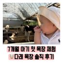 다래 | 7개월 아기 첫 목장 체험/다래목장 솔직 후기