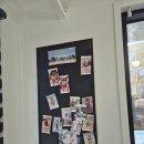 보문산로 | 대전애견미용 추천 도그하우스 말티푸 가위컷 후기 (대전강아지유치원)