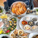 털보애견 이미지