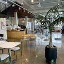 더블유(W)모텔 | 평택 브레인시티 카페 더블유(W), 아기랑 다녀온 한적한 방문 추천후기