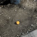 샵 고깃집 | [제주도 고깃집] 표선흑돼지 표선회관 내돈내산 후기!