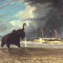 수원-1872 이미지