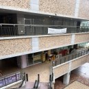 반송동255 | 동탄 돈카츠 맛집 영춘 주말 오픈런 후기