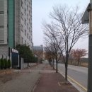 안중터미널 이미지