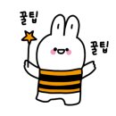 에이코어영어학원