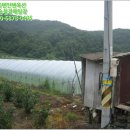 지방도905호선1 이미지